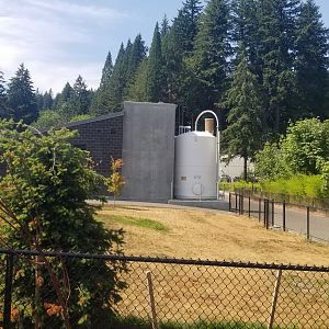 Polar Bear Filtration