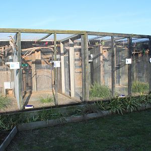 Tweeters and Friends - aviaries