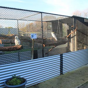 Tweeters and Friends - aviary