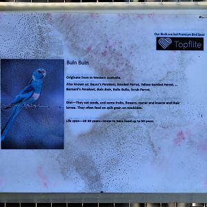 Tweeters and Friends - signage example