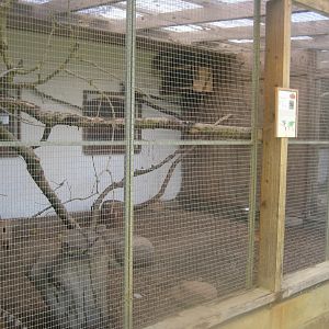 Enghave Dyre- og Naturpark - Courtyard - Coati exhibit