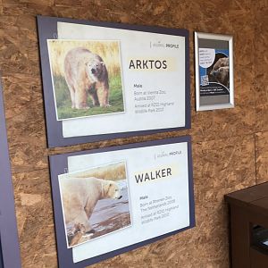 Male polar bear sign