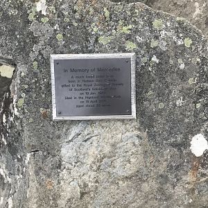 Mercedes memorial sign