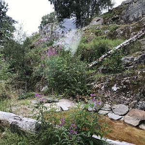 Snow leopard enclosure