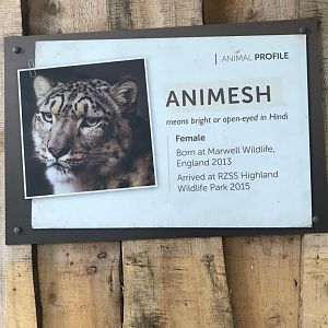 Snow leopard sign