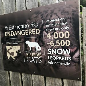 Snow leopard sign