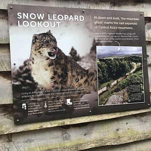 Snow leopard sign