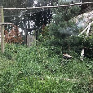 Eurasian eagle owl aviary