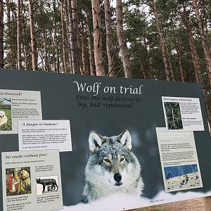 Wolf on trial sign