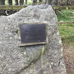 Wolf wood opening date