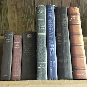 North Carolina Zoo: Decorative Books at Chimpanzee Habitat