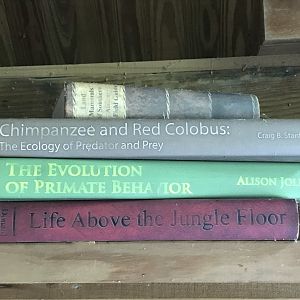 North Carolina Zoo: Decorative Books at Chimpanzee Habitat