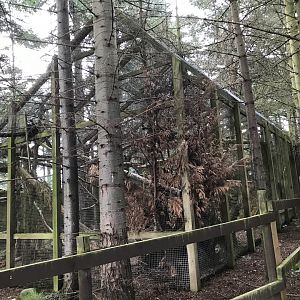 Second Scottish wildcat enclosure