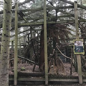 Third wildcat enclosure