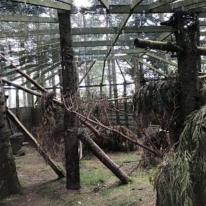 Fourth wildcat enclosure