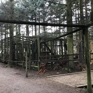Fifth wildcat enclosure