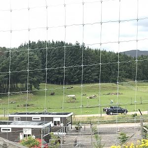 Mishmi takin enclosure