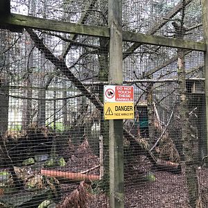 Sixth wildcat enclosure