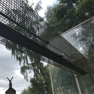 Red panda overhead tunnel