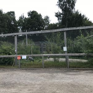 Eurasian crane aviary