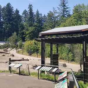 Asian Elephant Exhibit #1