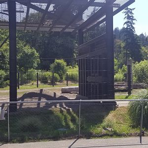 Elephant Exhibit #3