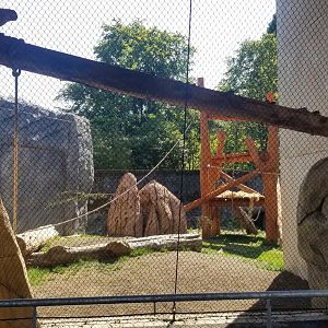 Renovated Chimp Exhibit