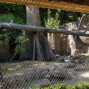 Empty former primate exhibit?