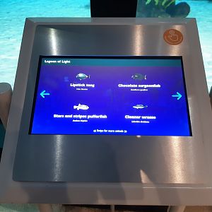 Interactive Screen