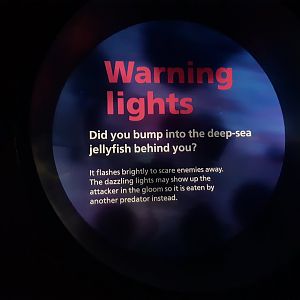 Warning Lights