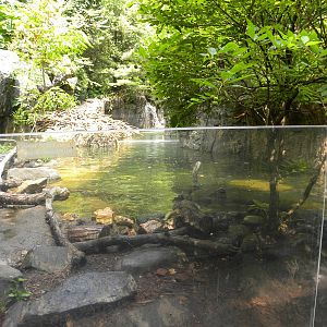 Maryland Wilderness: Best otter exhibit?