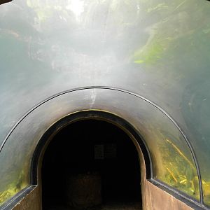 Maryland Wilderness: Otter Tunnel