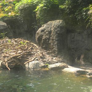 Maryland Wilderness: