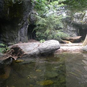 Maryland Wilderness: