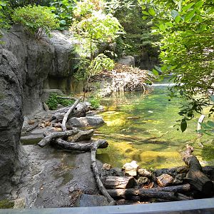 Maryland Wilderness: Best Otter Exhibit?