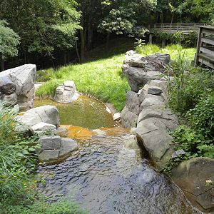 African Journey: Great Sitatunga/Crowned Crane exhibit