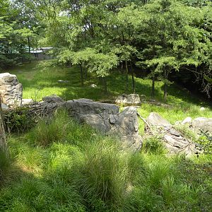 African Journey: Great Sitatunga/Crowned Crane exhibit
