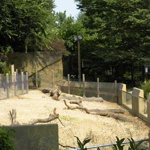 Very good prairie dog exhibit
