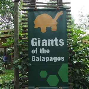Giants of the Galapagos exhibit photos
