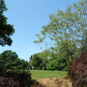 African Savanna - Lookout