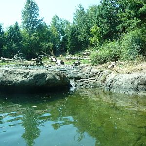 Grizzly Bear Exhibit
