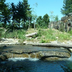 River Otter + Rocky Mountain Goat Exhibits