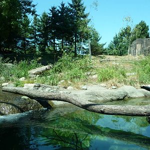 River Otter + Rocky Mountain Goat Exhibits