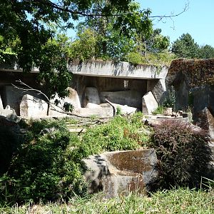 Sumatran Tiger Exhibit