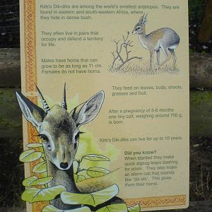 Dik-Dik information sign