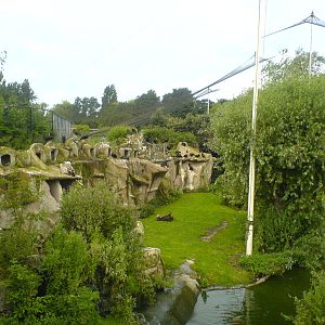 Europe on the Edge aviary