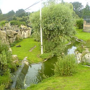 Europe on the Edge aviary