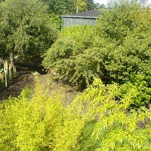 Babirusa/Otter enclosure