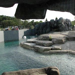 Member Preview Night Tundra Trek