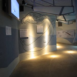 Member Preview Night Tundra Trek